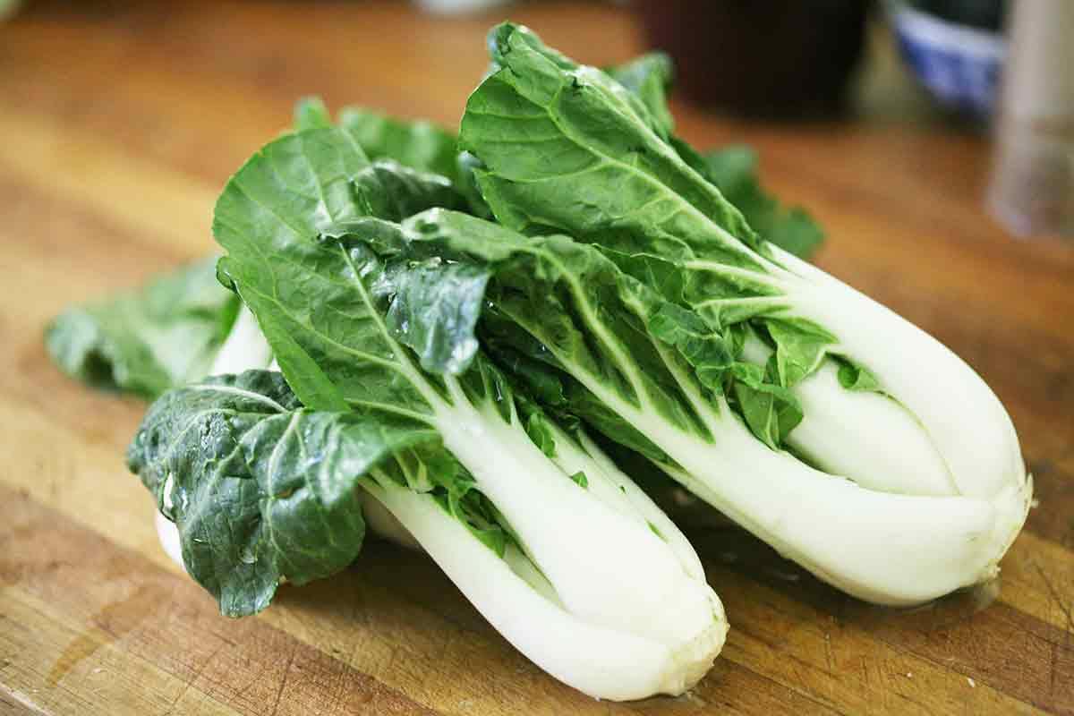 White Stem Bok Choy Pak Choi Seeds USA Pok Choy Canton Joi Etsy