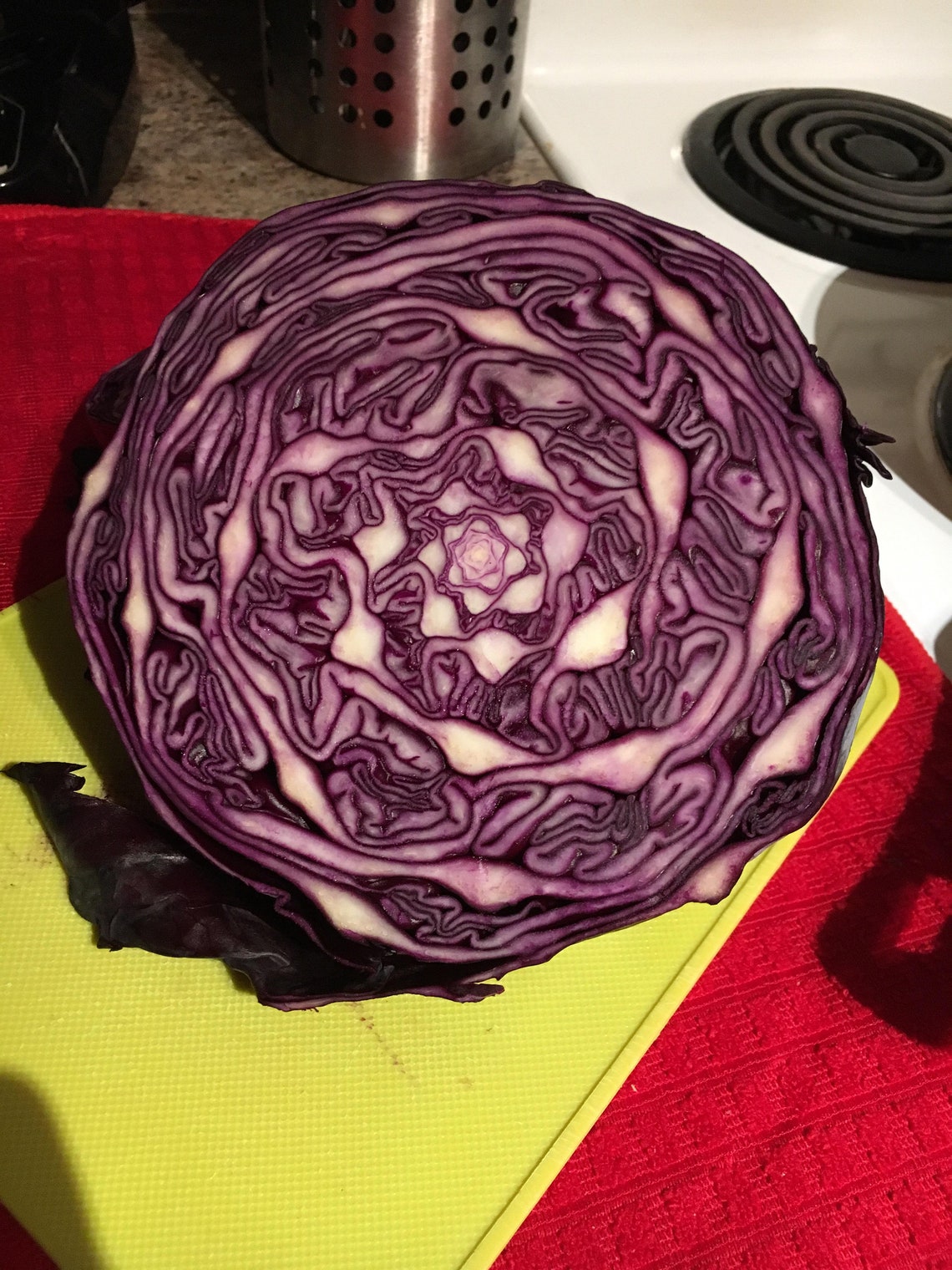 Red Cabbage Seeds USA Red Acre Organic Slaw Vegetable Garden Etsy
