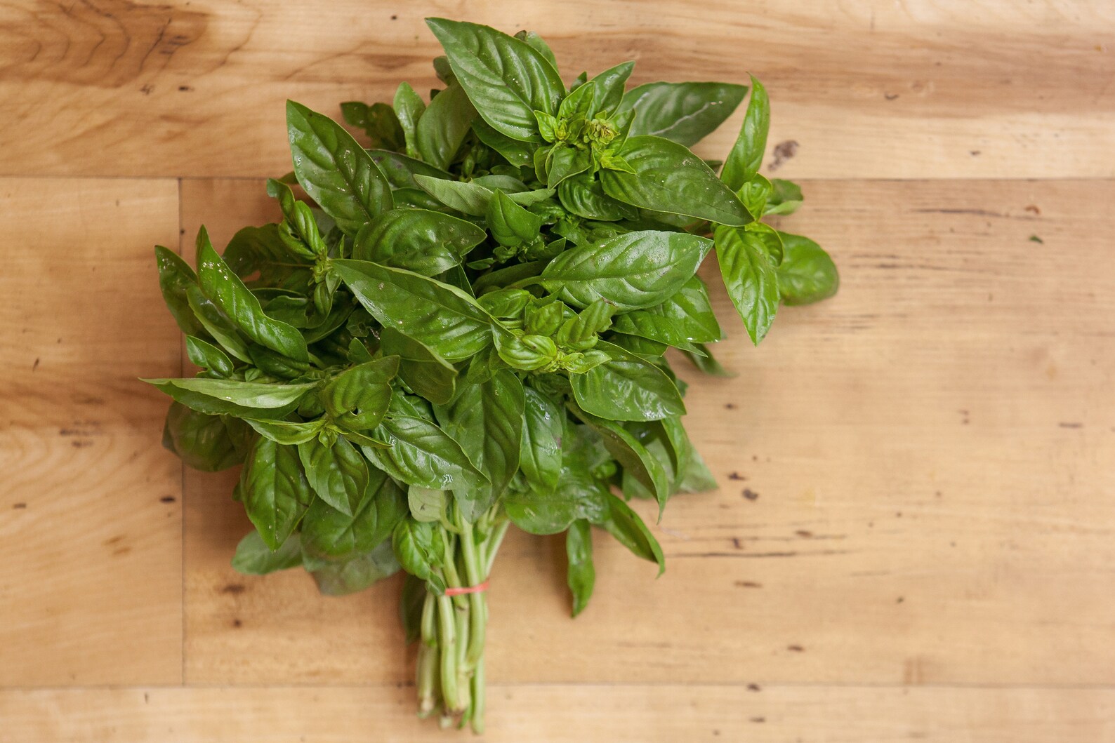 Lemon Thai Basil Seeds USA Asian Herb Bouquet Vietnamese Pho Etsy