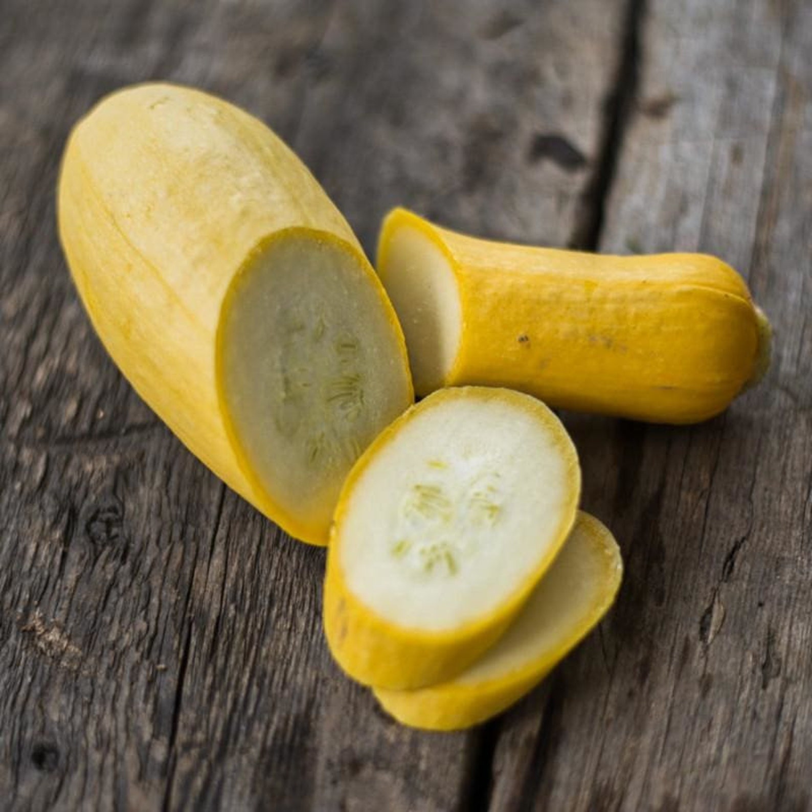 Yellow Straightneck Summer Squash Seeds Straight Neck Golden Etsy
