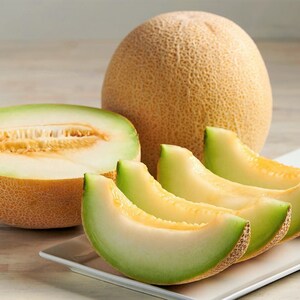 Rocky Ford Green Cantaloupe Seeds Heirloom Green Flesh Netted Gem Honeydew Japanese Muskmelon Melon Fruit Seed 2024 Season Fast Shipping image 3