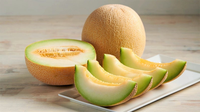 Rocky Ford Green Cantaloupe Seeds Heirloom Green Flesh Netted Gem Honeydew Japanese Muskmelon Melon Fruit Seed 2024 Season Fast Shipping image 3