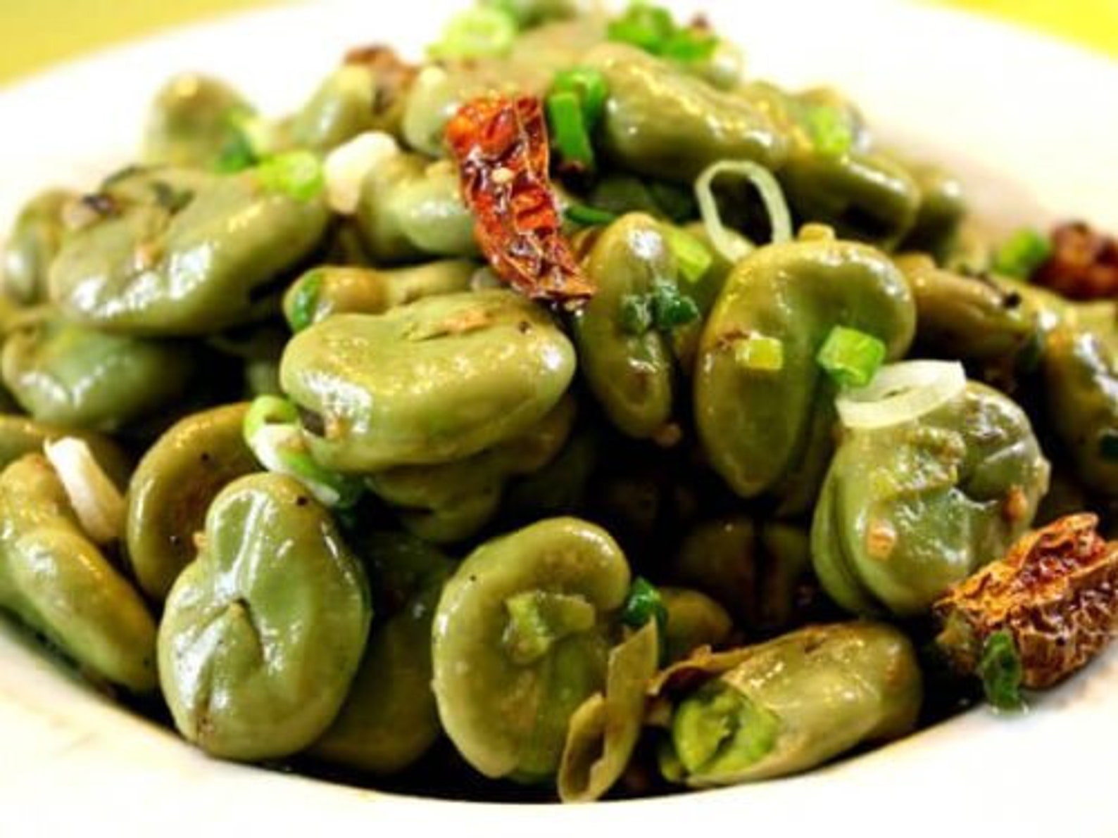 Aquadulce Fava Bean Seed Broad Windsor Cold Tolerant Summer Etsy