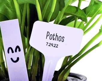 Witte T-vormige plantenlabels | Tuinpaal Plastic rijmarkering Potzaadlabel Voedselveilige feestlabels Waterdicht 2024 seizoen Gratis verzending