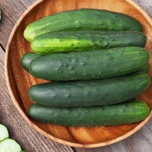 Marketmore 76 Cucumber Seeds Dark Green Straight Strong Disease Resistance No Stippling Pickle Vegetable Seed Fresh For 2024 Fast Shipping image 2