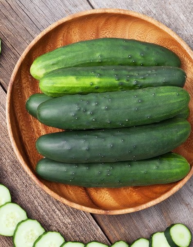 Marketmore 76 Cucumber Seeds Dark Green Straight Strong Disease Resistance No Stippling Pickle Vegetable Seed Fresh For 2024 Fast Shipping image 2