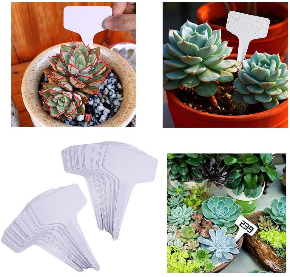 White T-shaped Plant Labels Garden Stake Plastic Row Marker ...