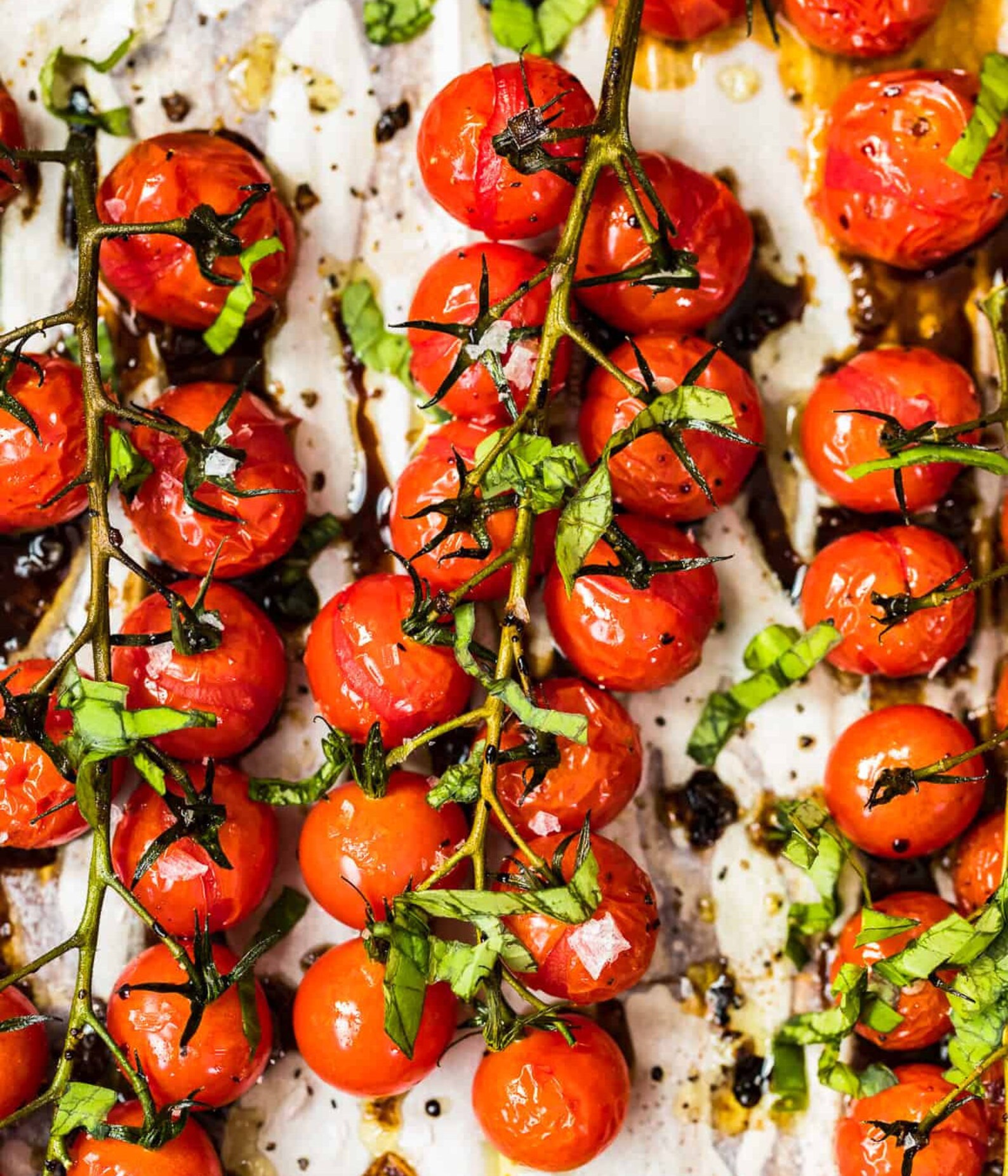 Large Red Cherry Tomato Seeds Indeterminate Non GMO Patio Etsy