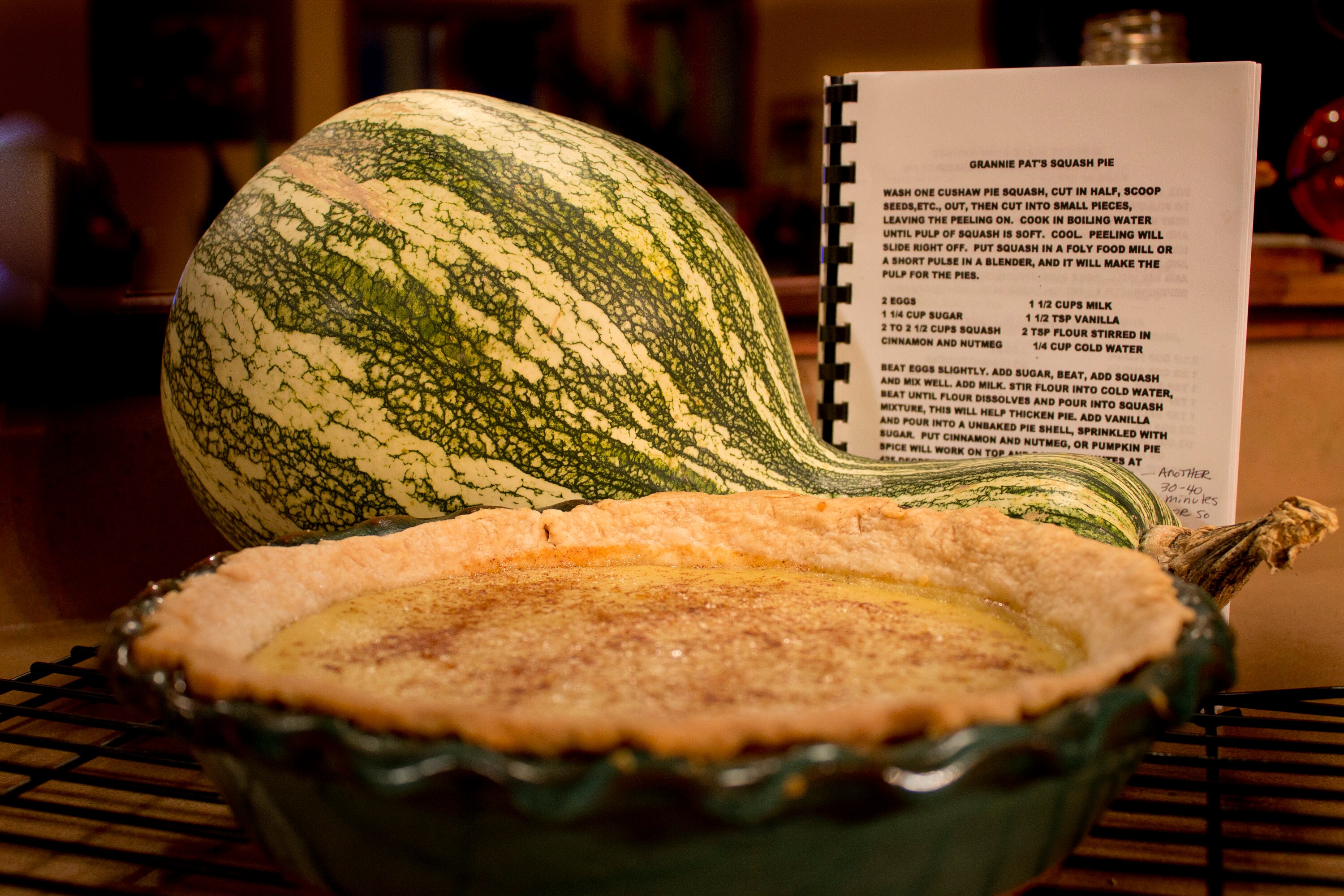 Green Striped Cushaw Seeds Southern Kershaw Pumpkin Winter Etsy