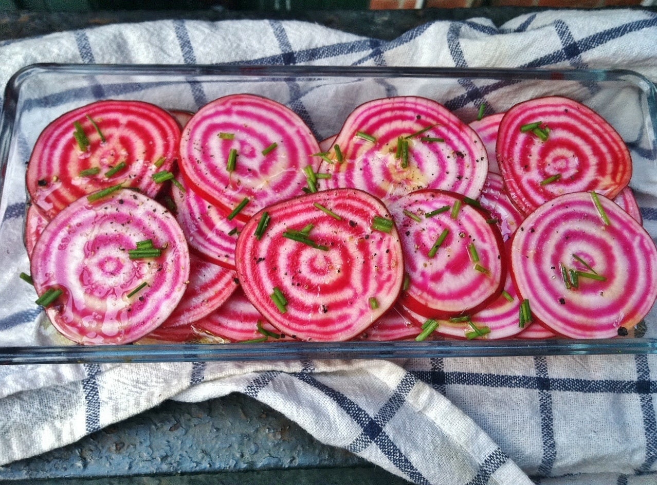 Candy Cane Striped Beet Seeds Organic Non GMO Chioggia Etsy
