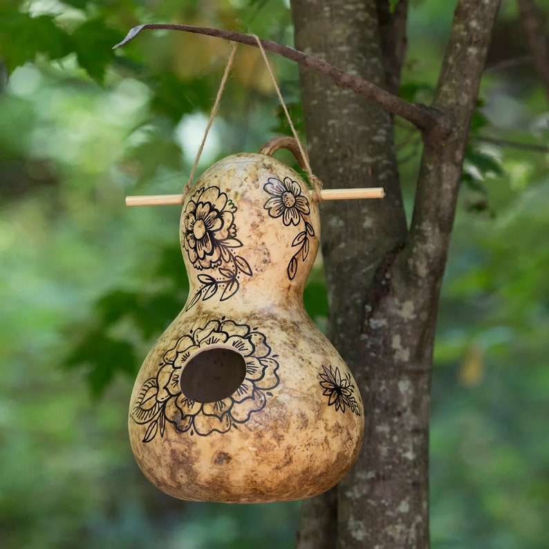 Birdhouse Gourd Seeds US Garden Asian Bottle Calabash Chinese Etsy