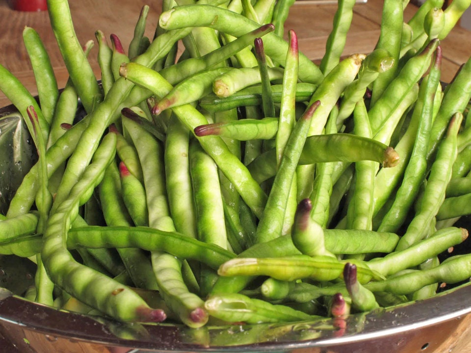 Black Eyed Pea Seeds California Blackeye No.5 Cowpea Non GMO Etsy