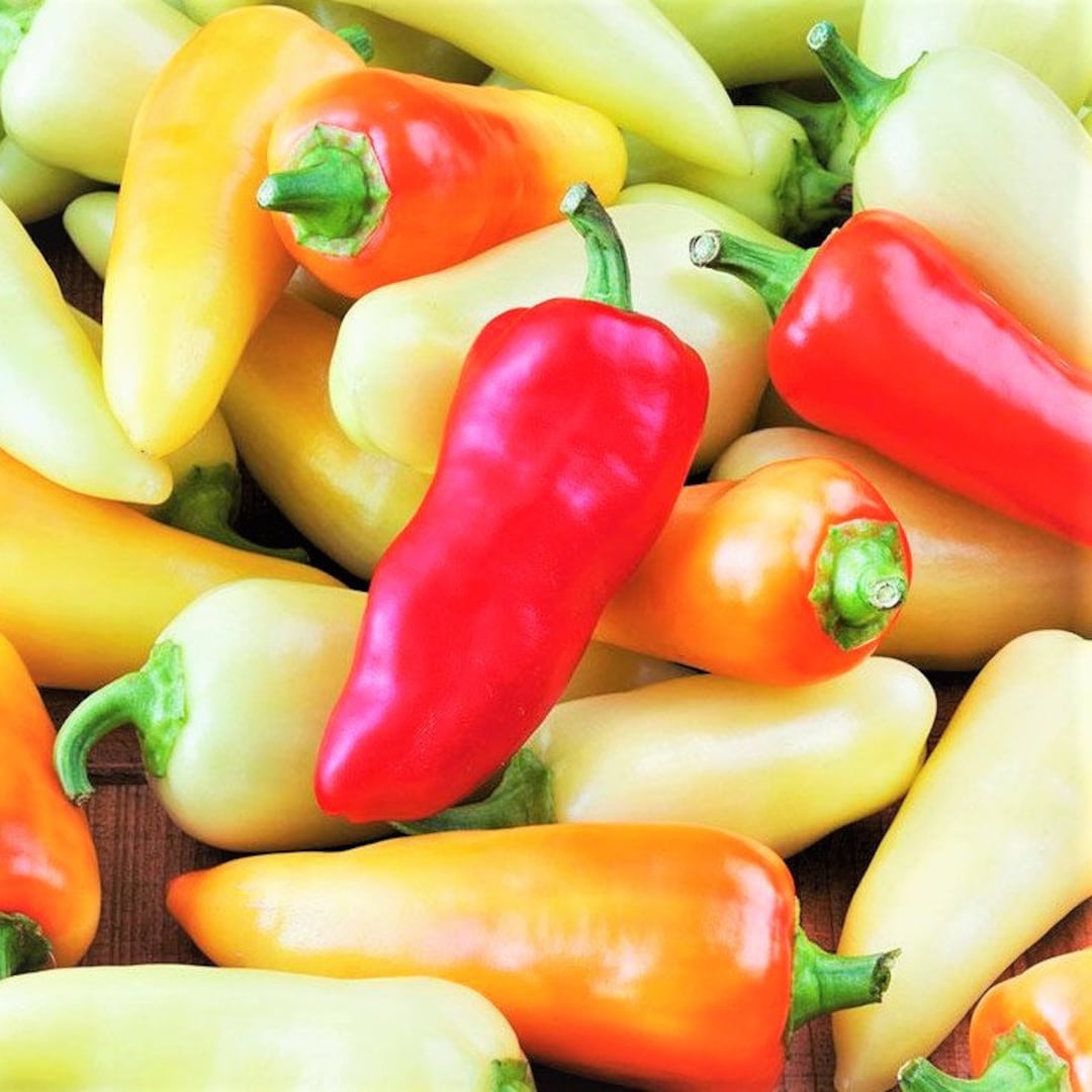Santa Fe Grande Pepper Seeds 700 Scoville Medium Hot Chili Guero Chile ...