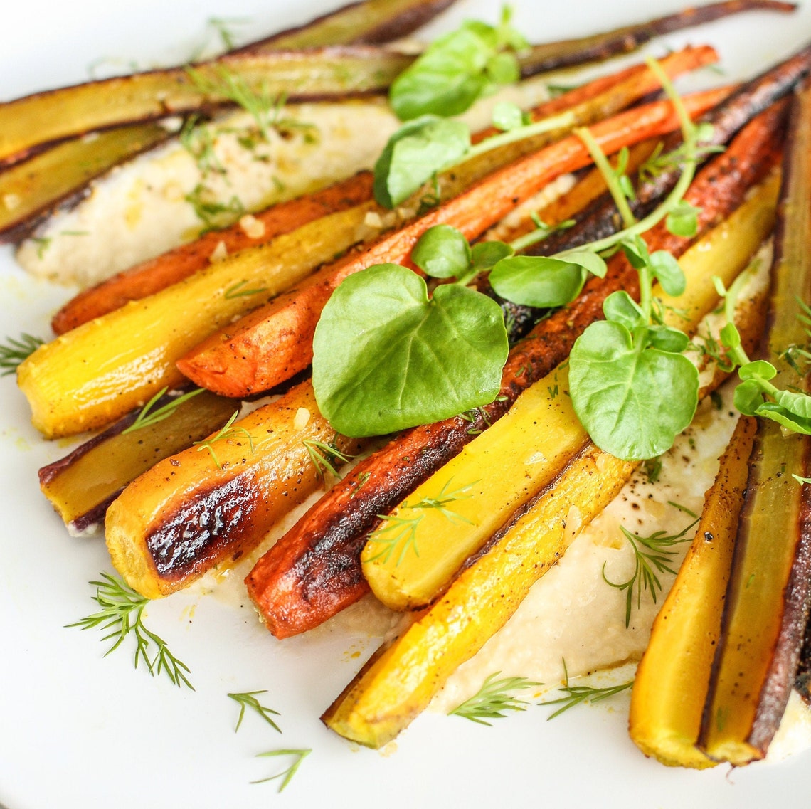 Sunburst Yellow Carrot Seeds Golden Carrots Parsnips Solar Etsy