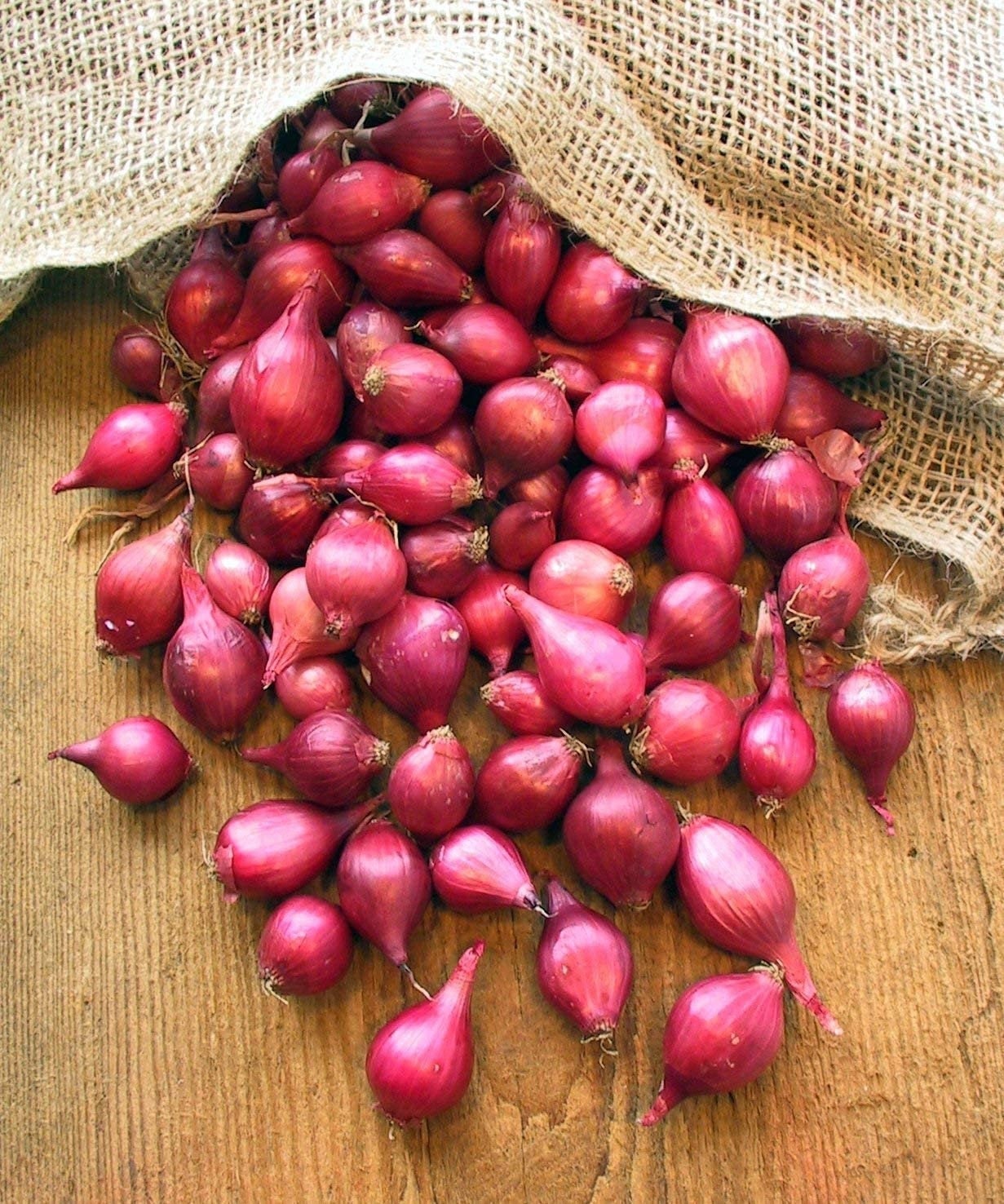 Karmen Red Onion Sets Starter Bulbs Long Day Non GMO Etsy
