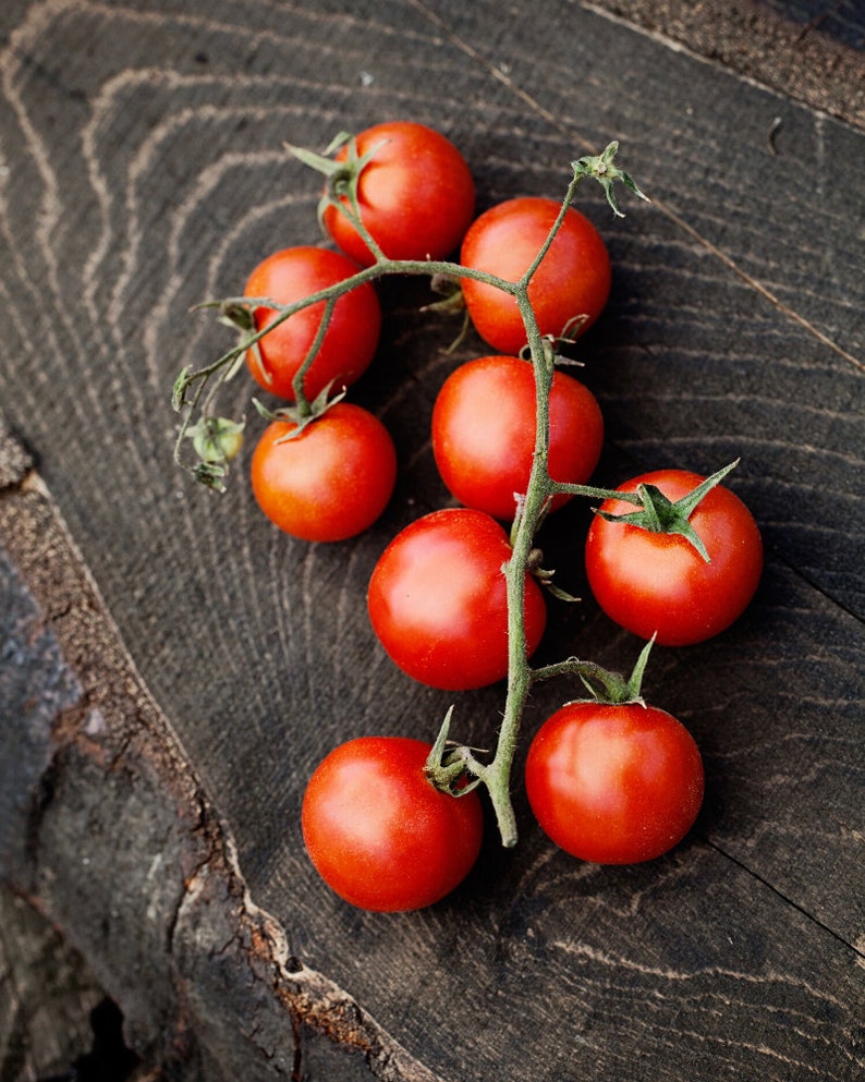 Large Red Cherry Tomato Seeds Indeterminate Non GMO Patio Etsy