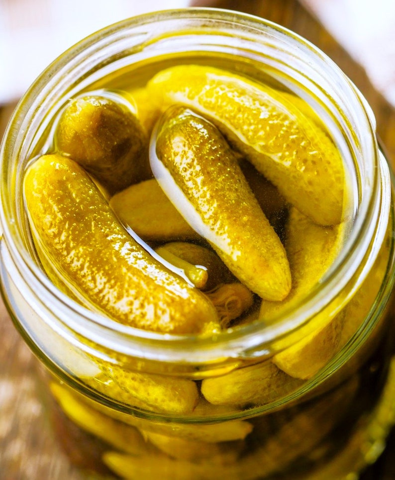 Parisian Gherkin Cucumber Seeds French Cornichon Baby Cucumbers Pickle Mini Kirby F1 Hybrid Vegetable Seed For 2024 Season Fast Shipping image 6