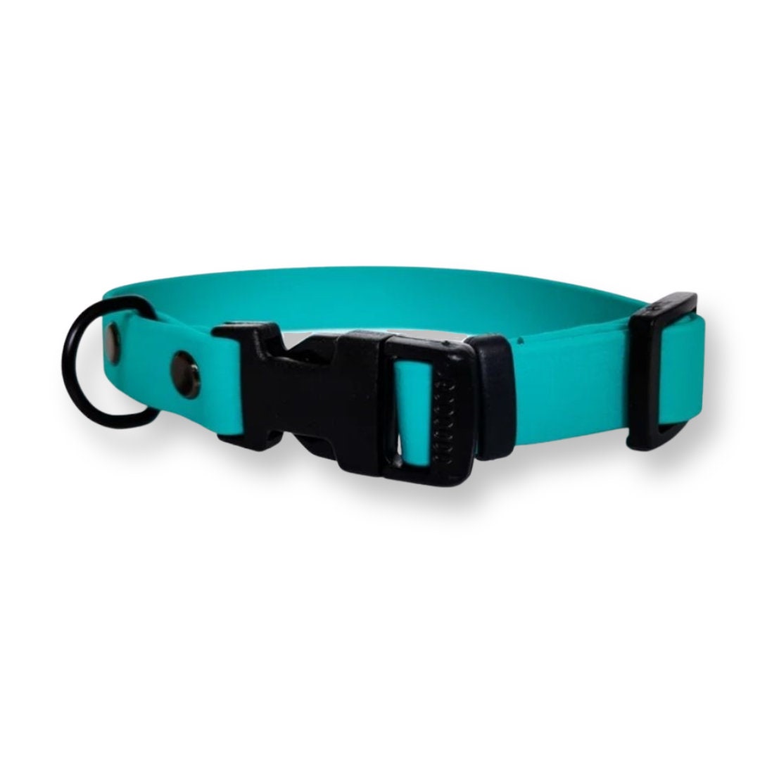 Teal Biothane Dog Collar Vegan Dog Collar Quick Release Etsy UK