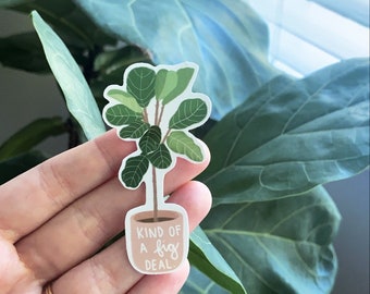 Fiddle Leaf Fig Die Cut Sticker: Plant Pun Weatherproof Glossy