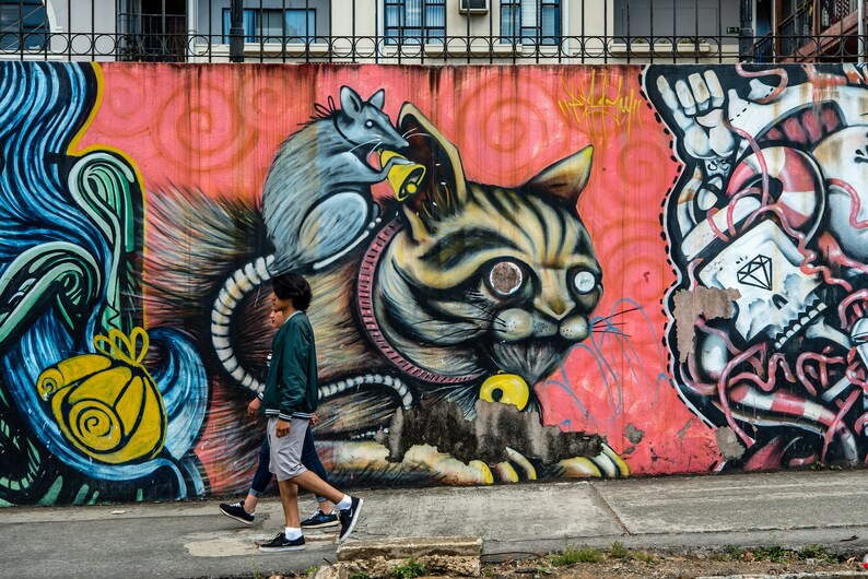 San Jose Costa Rica graffiti cat street art travel Etsy