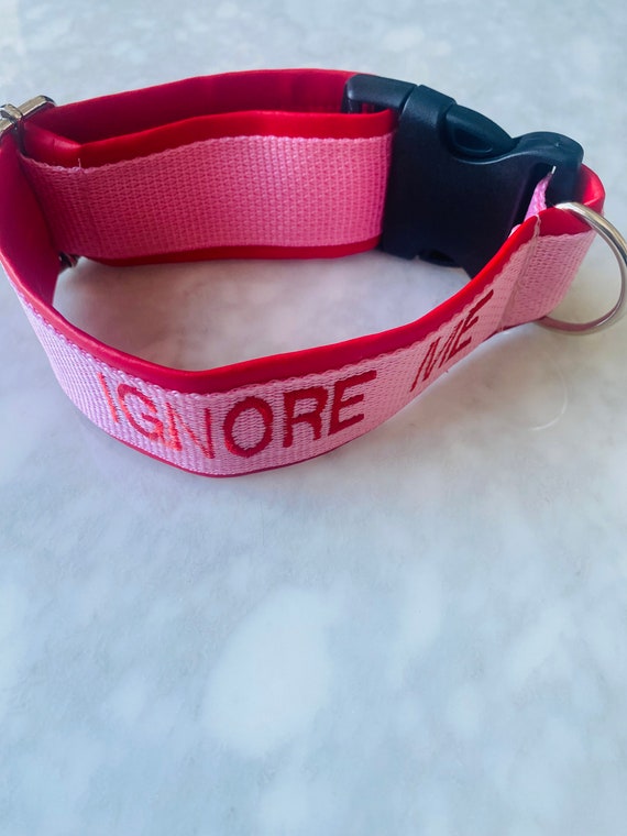 Custom Vinyl Collar Etsy