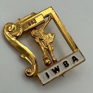 Pin de 682 NM de la IWBA Illinois
