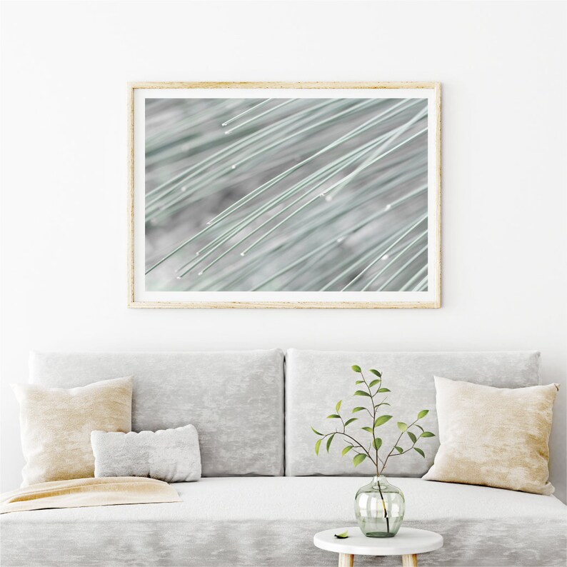 Abstract Botanical Print - Downloadable Photograph, Printable Photography - Contemporary art for your living room, dinning room, office etc