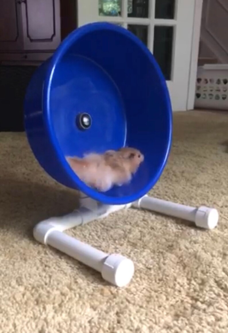 Silent Exercise Wheel image 4