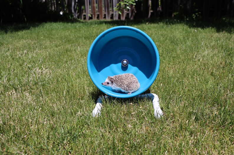 Silent Exercise Wheel image 3