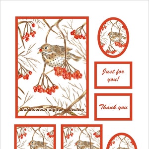 Tarjeta de pájaro. Tarjeta digital de TORDO CANTOR. Papel imprimible. Tarjeta de felicitación, postal, ATC, etiqueta. Efímera de diario basura navideña. Collage, álbum de recortes