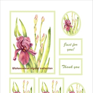 Iris Watercolor Card: Floral Printable Image for Gift Tags, Postcard, Junk Journals Embellishments (Digital Download)
