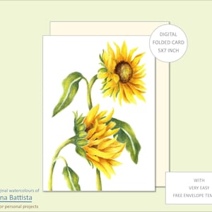 Cartão de felicitações floral, GIRASSOL, para impressão, aquarela, digital, cartão de flores, modelo de cartão, cartão de visita, envelope, cartão de felicitações em branco, kit