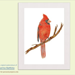 Cardinal Watercolor Painting, Bird Print, Red Cardinal Digital Art Print, Bird Watercolor Print, Bird Art, Bird Painting, Bird Illustration