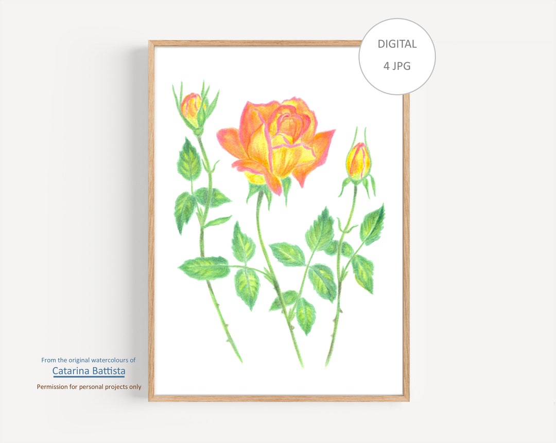Roses Printable Wall Art, Rose Watercolor Print, Flower, Rose Painting ...