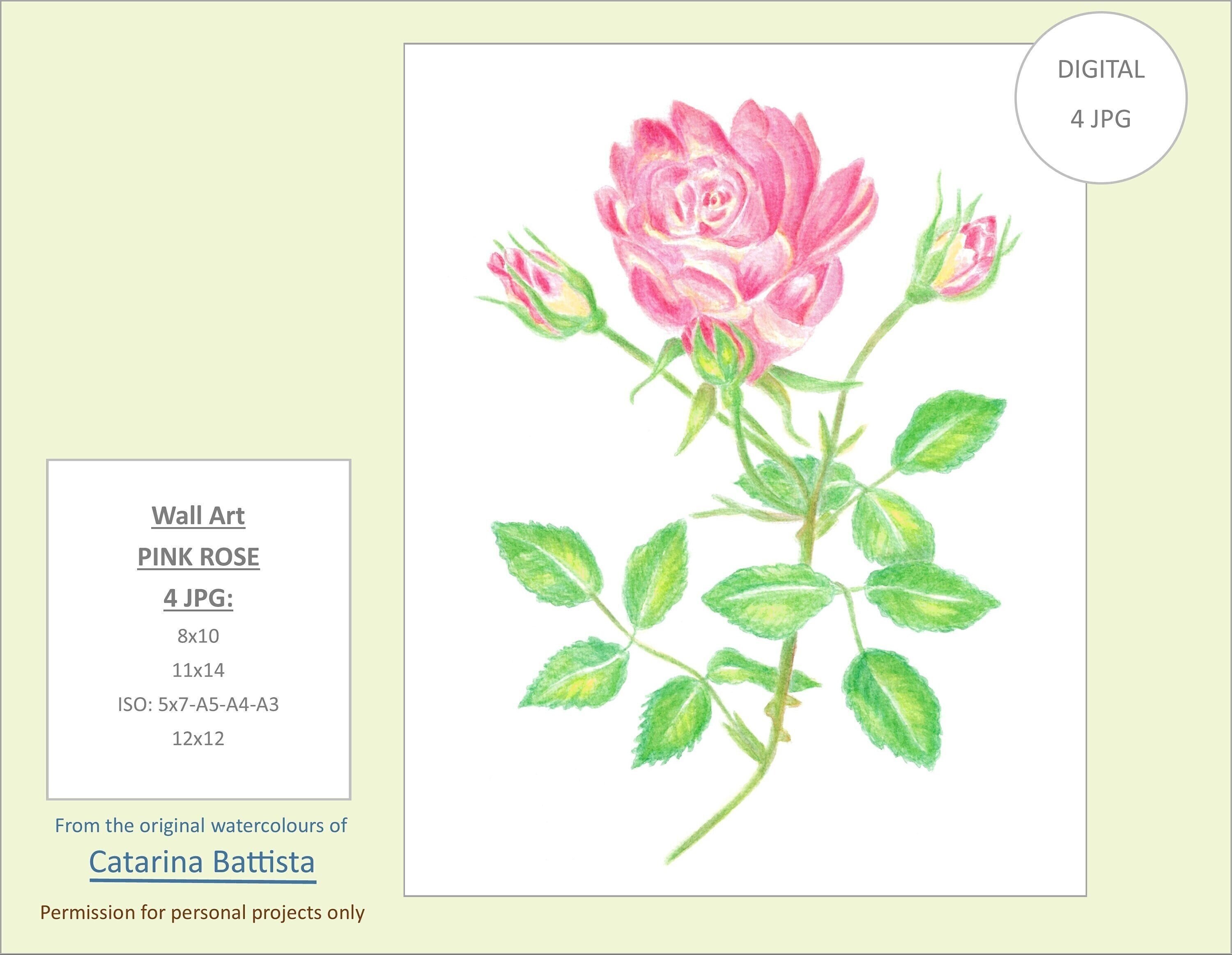 Pink Rose Printable Wall Art, Rose Watercolor Print, Flower, Rose ...