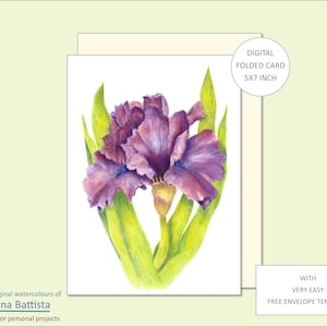 Cartão de felicitações floral, ÍRIS, para impressão, aquarela, digital, cartão de flores, modelo de cartão, cartão de visita, envelope, cartão de felicitações em branco, kit de cartões