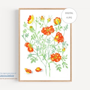 Flower Printable Wall Art, Rose Flower Watercolor Print, Wildflower Painting, Spring Floral Print, Botanical Print, Girls Nursery Wall Decor