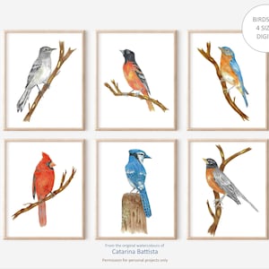 Bird Print, Set Of 6 Bird Prints, Watercolor Birds, Garden Birds, Bird Art, Downloadable Prints, Bluebird, Robin, Oriole, Instant Download