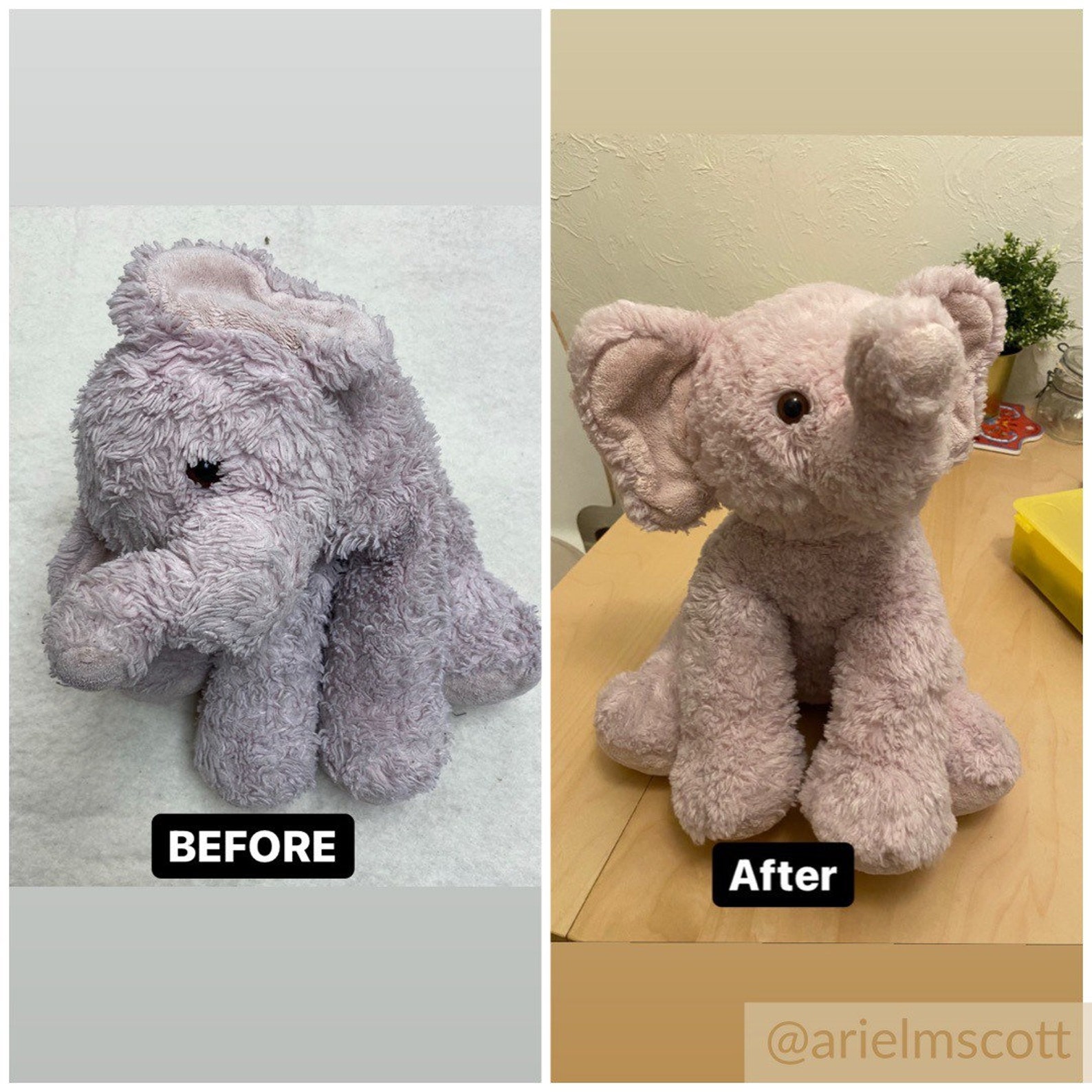teddy bear repair hospital