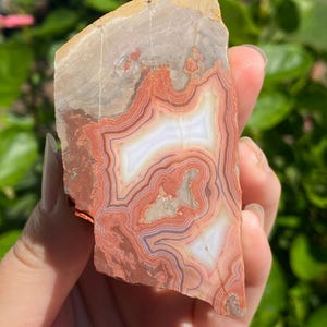 Natural Lace Agate Slab, Rust Red & Orange Banded Agate, Translucent White Patterns, One-of-a-Kind Mineral Specimen