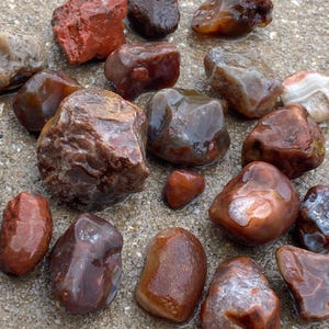 May include: A collection of various smooth, polished-looking stones in shades of red, brown, orange, and gray, scattered alongside a silver United States quarter coin for scale, showing natural variations in texture, color, and translucency.