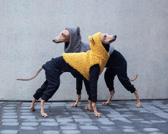 Teddy Bear Vest for Italian Greyhound With Ears | Autumn & Winter Iggy Coat | Stylish City Dog | Yellow Mustard | Warm, Cozy, Cute, Soft