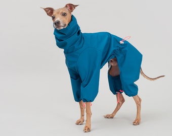 Italian Greyhound Raincoat | Lightweight Iggy Clothing | Colorful Waterproof, Rainproof, Windproof Levriero Jacket in Ocean Blue