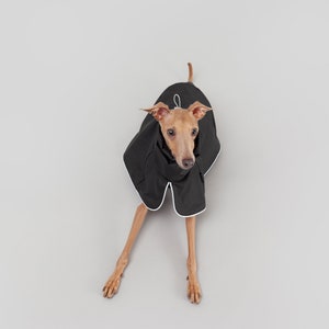 Galaxy: Urban Raincoat for Italian Greyhounds | Waterproof clothes for Iggies | City Dog Clothes | Black & Silver