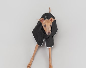 Galaxy: Urban Raincoat for Italian Greyhounds | Waterproof clothes for Iggies | City Dog Clothes | Black & Silver