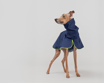 Milky Way: Urban Raincoat for Italian Greyhounds | Waterproof clothes for Iggies | City Dog Clothes | Blue & Neon Yellow