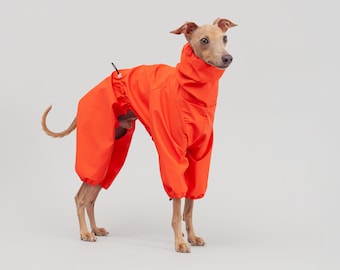Italienisches Windspiel | Leichte Iggy Kleidung | Bunte wasserdichte, regendichte, winddichte Levriero-Jacke in Orange