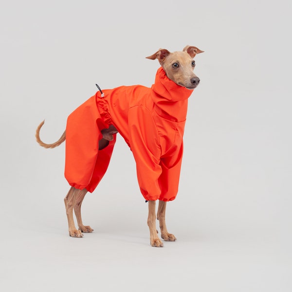 Italian Greyhound Raincoat | Lightweight Iggy Clothing | Colorful Waterproof, Rainproof, Windproof Levriero Jacket in Orange