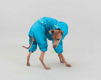 Italian Greyhound Rain Jacket | Lightweight Iggy Clothing | Colorful Waterproof, Rainproof, Windproof Levriero Jumpsuit Coat in Sky Blue