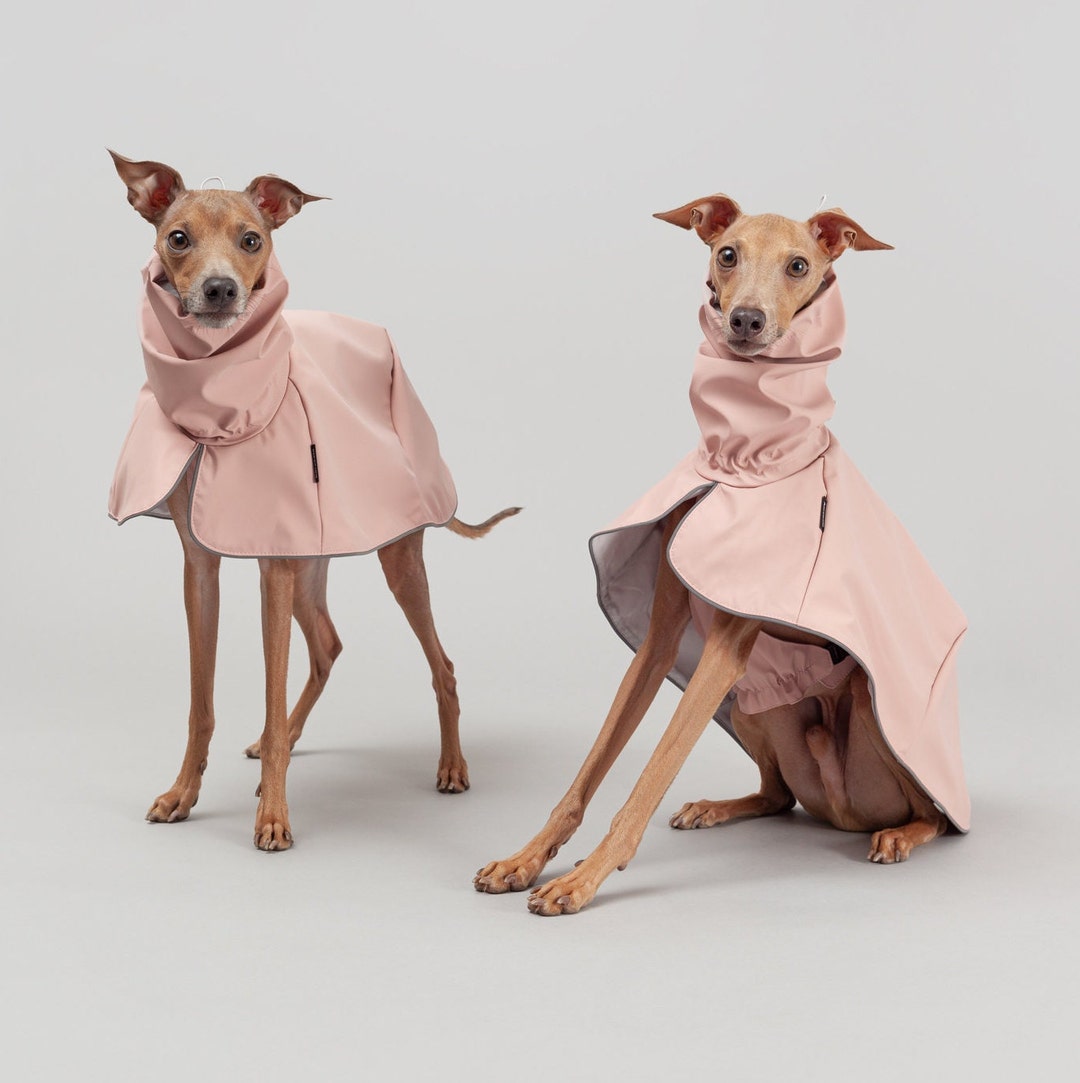 Peony Virgo Urban Raincoat for Italian Greyhounds Waterproof Clothes for Iggies City Dog